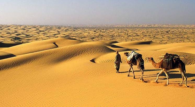 Incentive — Sud tunisien - photo 3